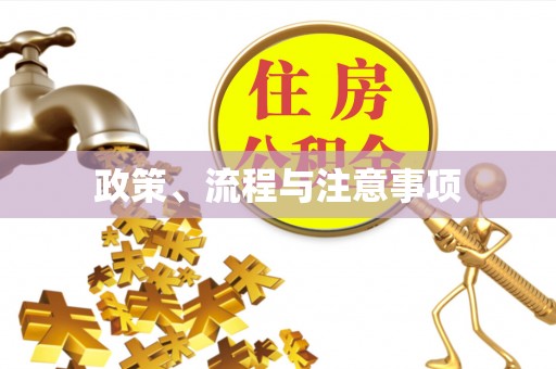 宣州政策、流程与注意事项