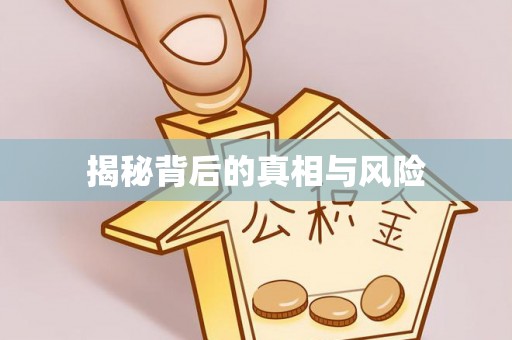 宣州揭秘背后的真相与风险