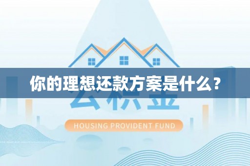 宣州你的理想还款方案是什么？