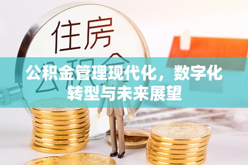 宣州公积金管理现代化，数字化转型与未来展望