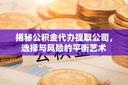 宣州揭秘公积金代办提取公司，选择与风险的平衡艺术