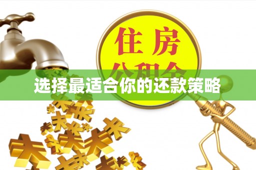 宣州选择最适合你的还款策略