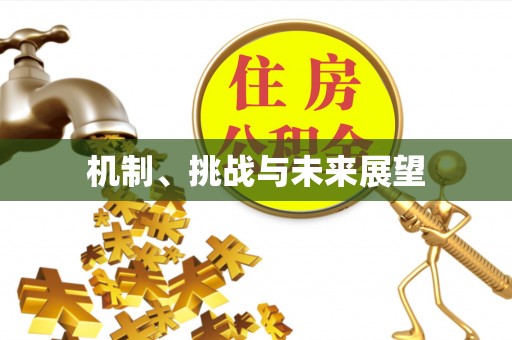 宣州机制、挑战与未来展望