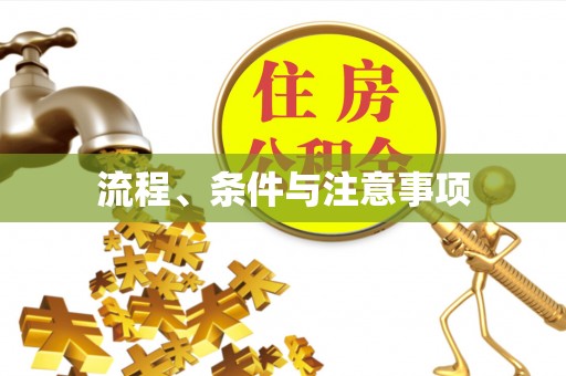 宣州流程、条件与注意事项